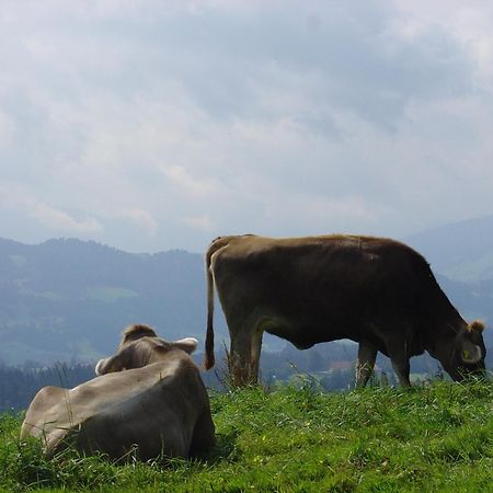 Landhotel Herzberger Garni Zimmer & Ferienwohnungen Scheidegg Exterior foto