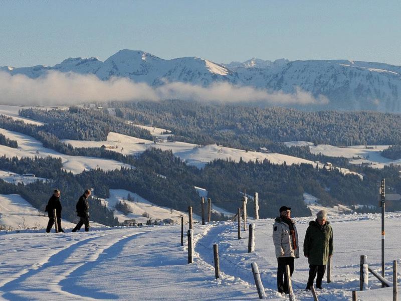 Landhotel Herzberger Garni Zimmer & Ferienwohnungen Scheidegg Exterior foto